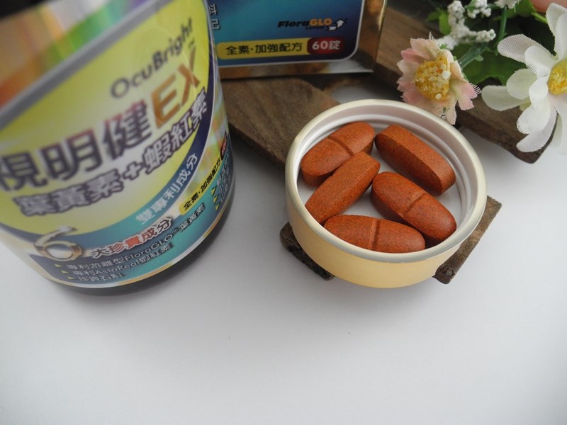 試用